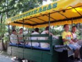 /album/dunaszigeti-tabor-2013-07-29-08-04/a4-jpg7/